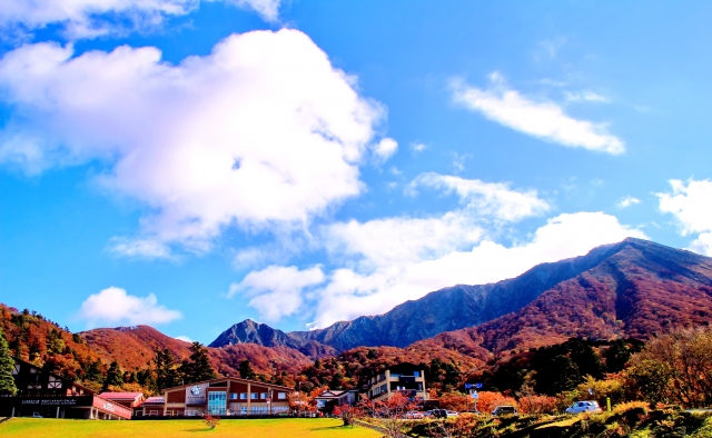 【保存版】2025年紅葉の見ごろ予想＆絶景スポット完全ガイド