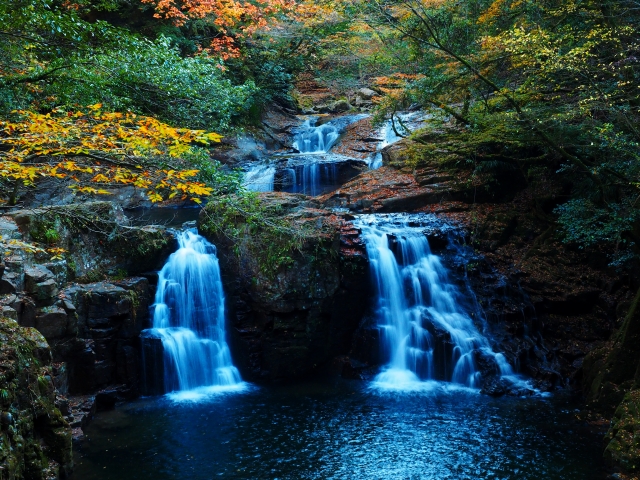 【保存版】2025年紅葉の見ごろ予想＆絶景スポット完全ガイド