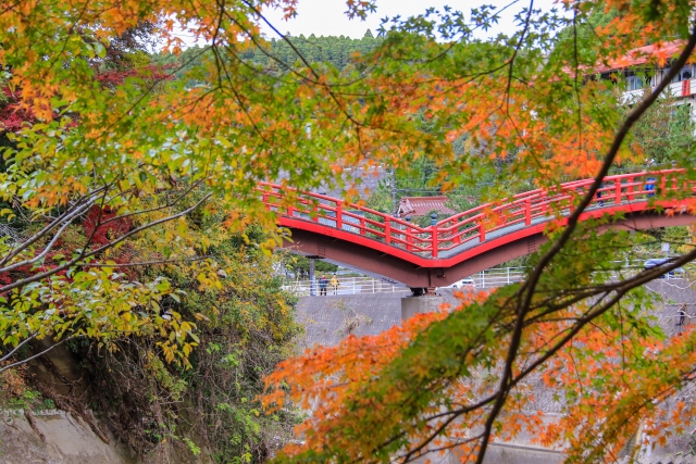 【保存版】2025年紅葉の見ごろ予想＆絶景スポット完全ガイド