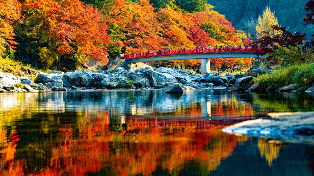 【保存版】2025年紅葉の見ごろ予想＆絶景スポット完全ガイド