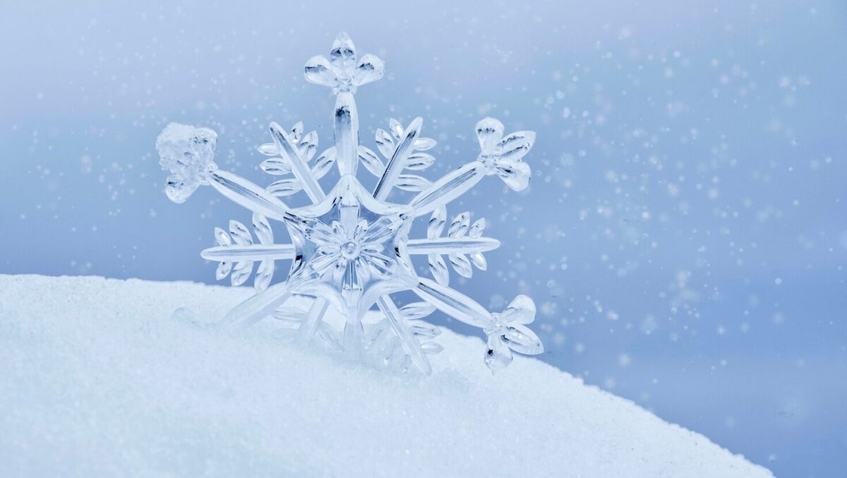 クリスマス　一人　寂しい…そんな夜に読んでほしい。心理学でわかる「寂しさの正体」と心が軽くなる過ごし方