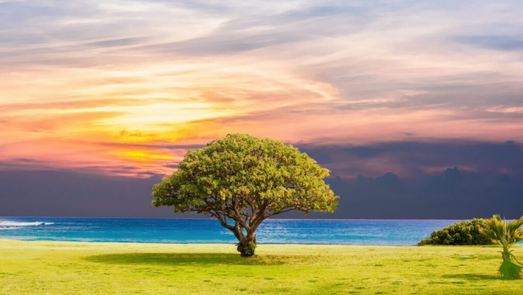 【心理学で徹底解説】好きな人がそっけない…これって脈あり?女性が知っておくべき本音と見極め方