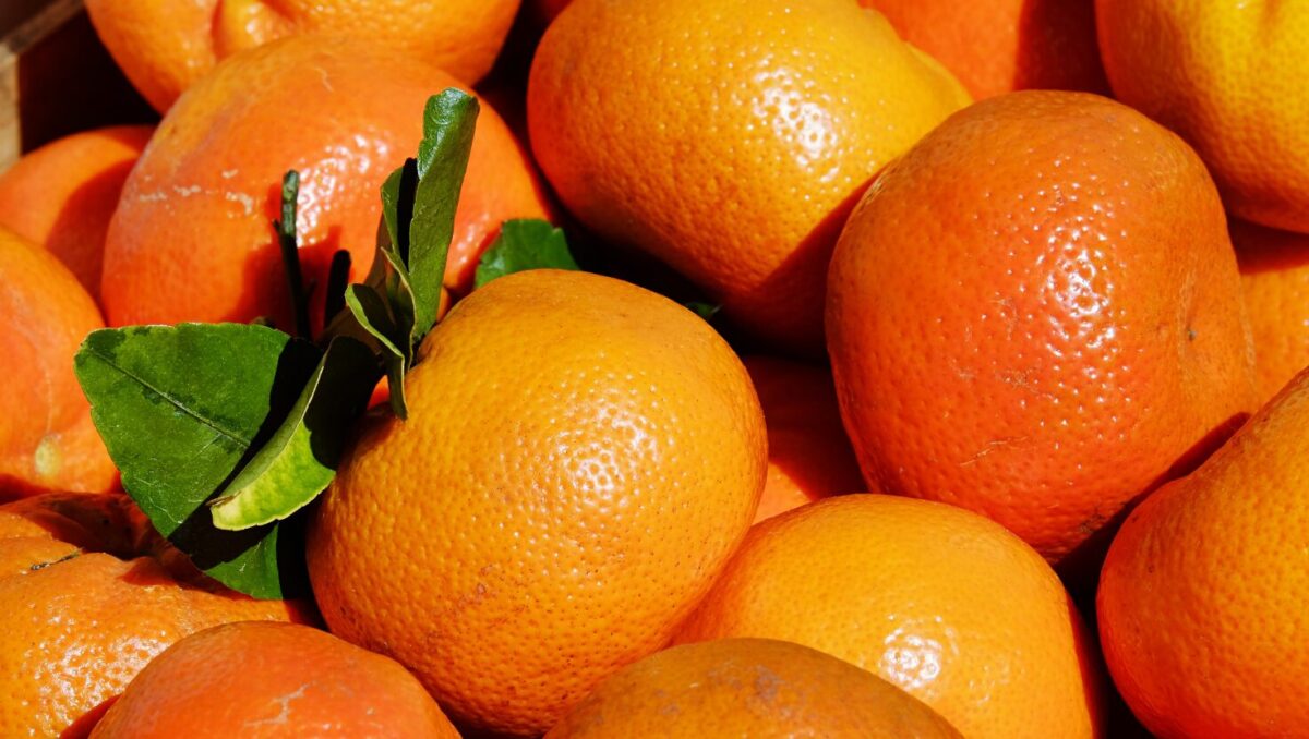 【大量消費OK】余ったみかんが大変身！デザートもおかずも絶品アレンジ5選