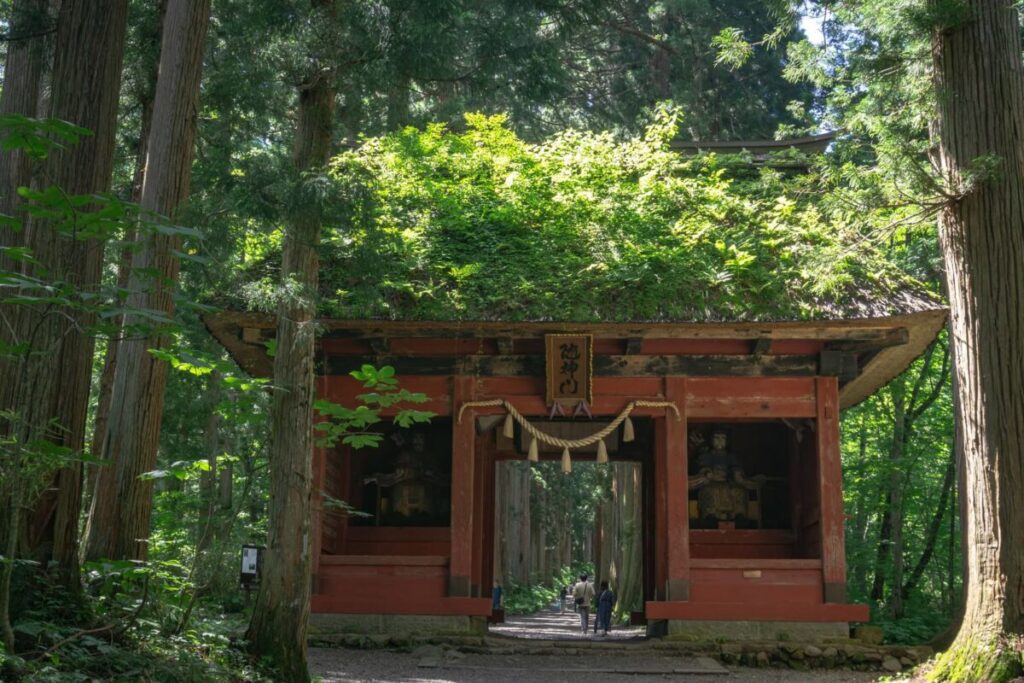 【初詣穴場】ちょっと変わった参拝が楽しい！全国の面白い神社9選
