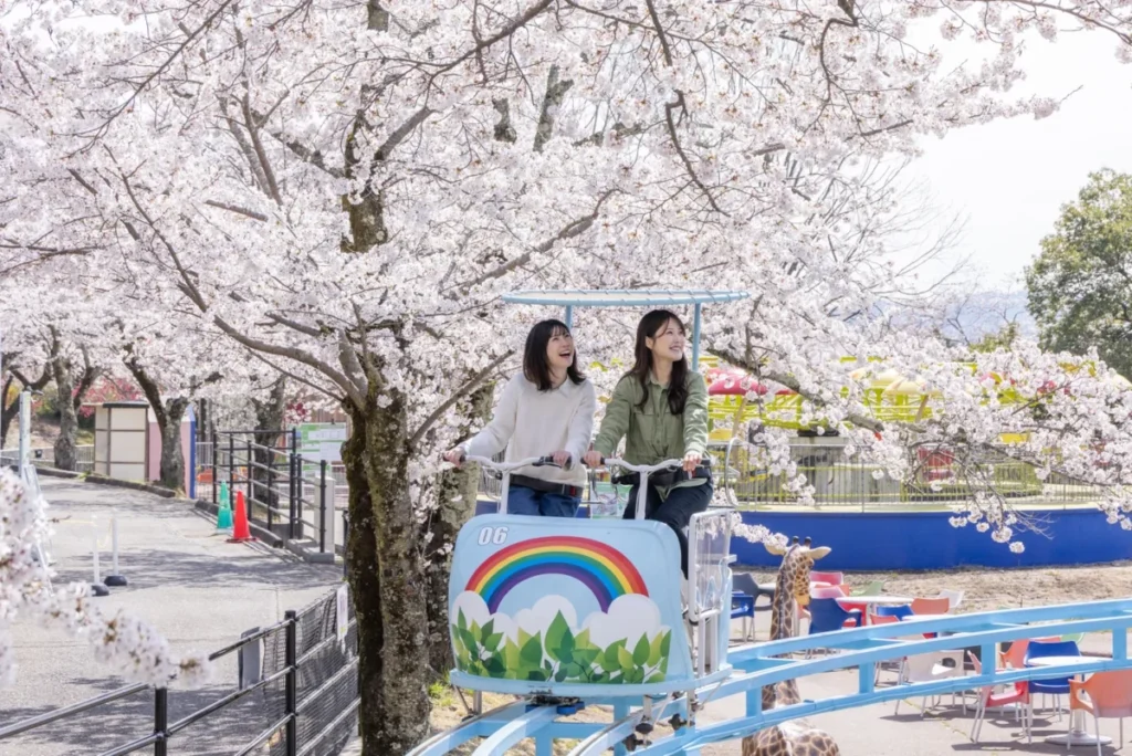 🌸【2026年版】東京＆近郊で楽しむ花見祭り5選｜開催日・ライトアップ情報まとめ