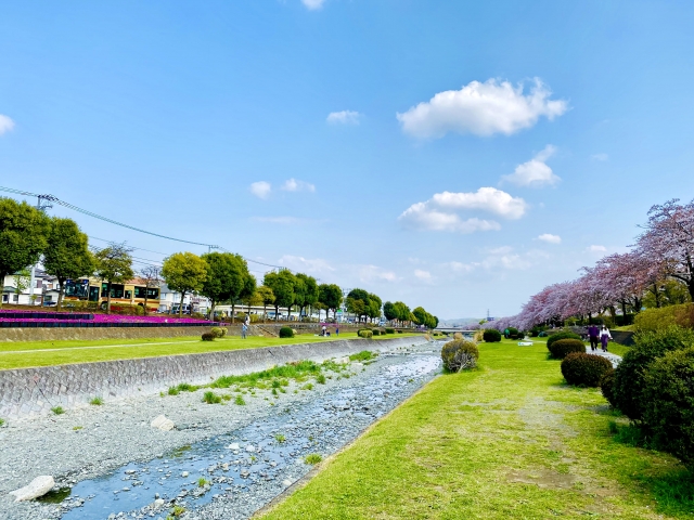 【2026年版】ゴールデンウィークはいつからいつまで？家でゆっくり楽しむ過ごし方まとめ