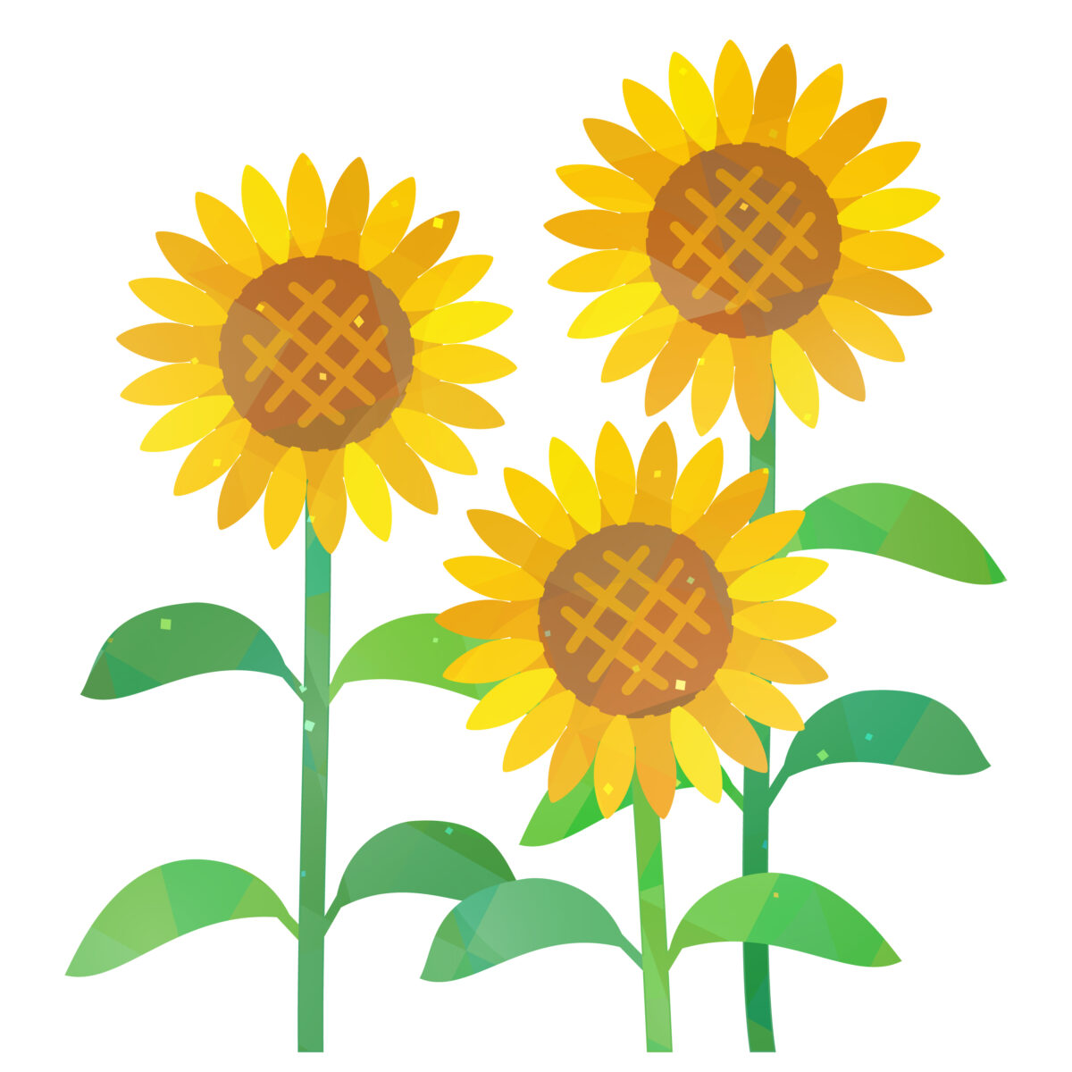 夏の花の折り紙10選｜ひまわり・朝顔・あじさい・蓮の簡単な作り方まとめ